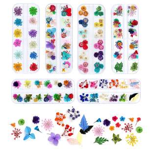 DIY Japanese Style Nail Stickers Dried Flowers 3D Five-Petal Flowers Daisy Eye Makeup Decals Glue Dried Flowers 12 Colors Manicure Box