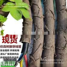 ���ϸɘ�֦늾����@��ľ���ٗl�bܷ�Ƥ������Ę��ٴ�����