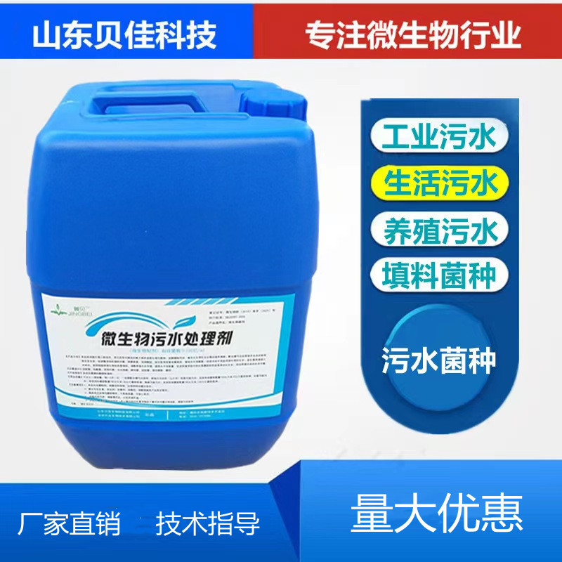 污水处理菌种异氧菌自氧菌厌氧好氧菌降氨氮总氮填料挂膜微生物菌