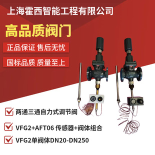 ����˹����ʽ�ض��{���yAFT06+VFG2