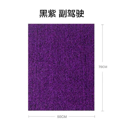 car floor mat, waterproof, universal, Universal Foot Pad - black-purple-passenger-side-single-piece