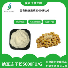 納豆凍干粉 5000FU/g 水溶性納豆粉1KG 納豆激酶 納豆提取物