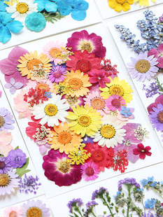 �ɻ����������ֹ�diy���ϰ��滨ֲ��˱����z�N��õ����~�ӻ���