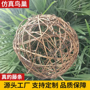 Ұ���B����B�B��������B�����������S�z�����b��������B����