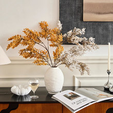 �����L���߲��y��ƿ�����L�չ��b[���Ƶ�͏d���P�Ҿ��մɻ�ƿ