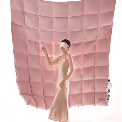 Factory Direct Sales 95% White Goose Down Winter Quilt with Hanging Goose Down Quilt High-End Goose Down Spring and Autumn Quilt Thick Down Comforter