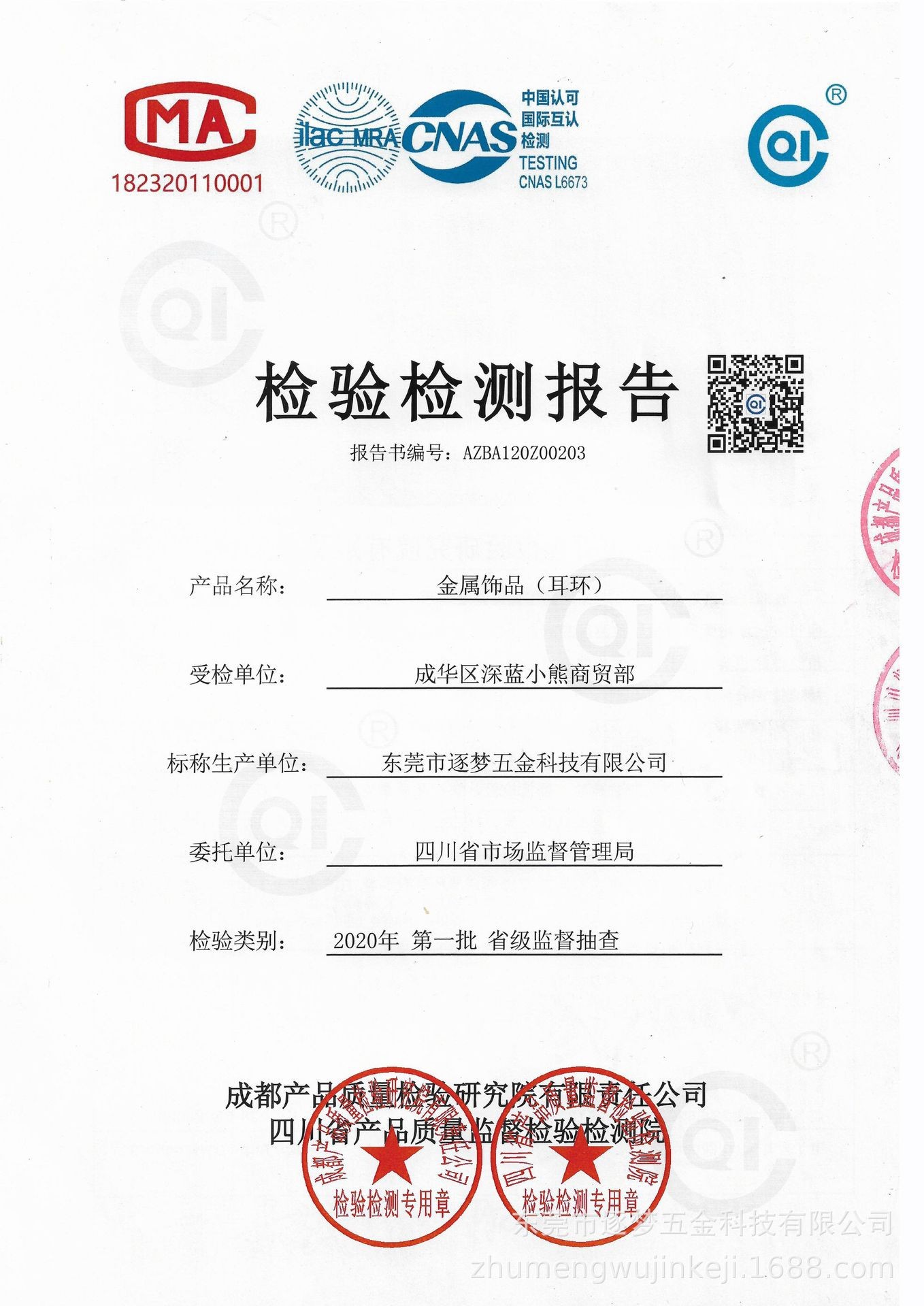 耳环检查报告 (1)