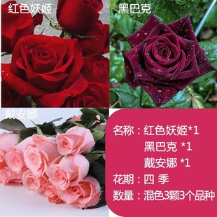 õ�廨����������Ϙ��tõ���ϸ��׷��¼������ļ��_�����㻨��