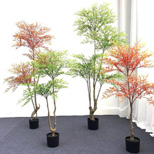 ����Gֲ�������쾰�����҃ȴ��ͷ�����ֲ��͏d����b��[����