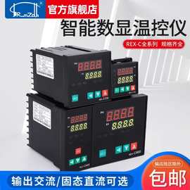 温控器REX-C100C400C700C900数显温控仪温度控制器恒温器可调温
