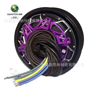 12��V6�L�Y8000WP��ƬQSMOTORȫ�늙C��Ƭ48-96V늄�܇�Ħ늙C