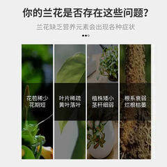 蘭靈王蘭花專用營養液肥料蝴蝶蘭君子蘭菌王蘭陵王蘭科促花活化劑