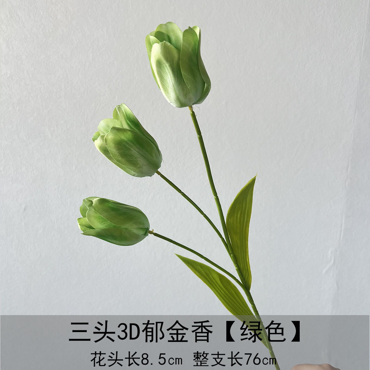 Tulipanes de tres cabezas y tres D - verde