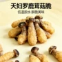 即食脱水天妇罗菌菇脆片