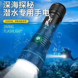 手电筒;头灯头戴电筒;厨房小工具