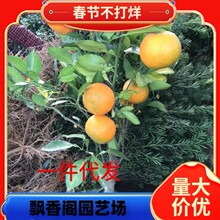 ���Ә���ɳ�ǽۘ��ĕ�ɰ�ǽۘ������ӟo�џo�˼޽ӹ�����̽���