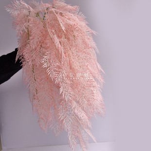 FPβ~ cbˇ ϻ Fڡ쾰߼ٻPβ