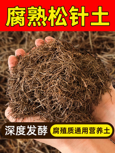 ��ᘠI�B���Ƿ�����~���~����m�������m�I�B����ֳ������