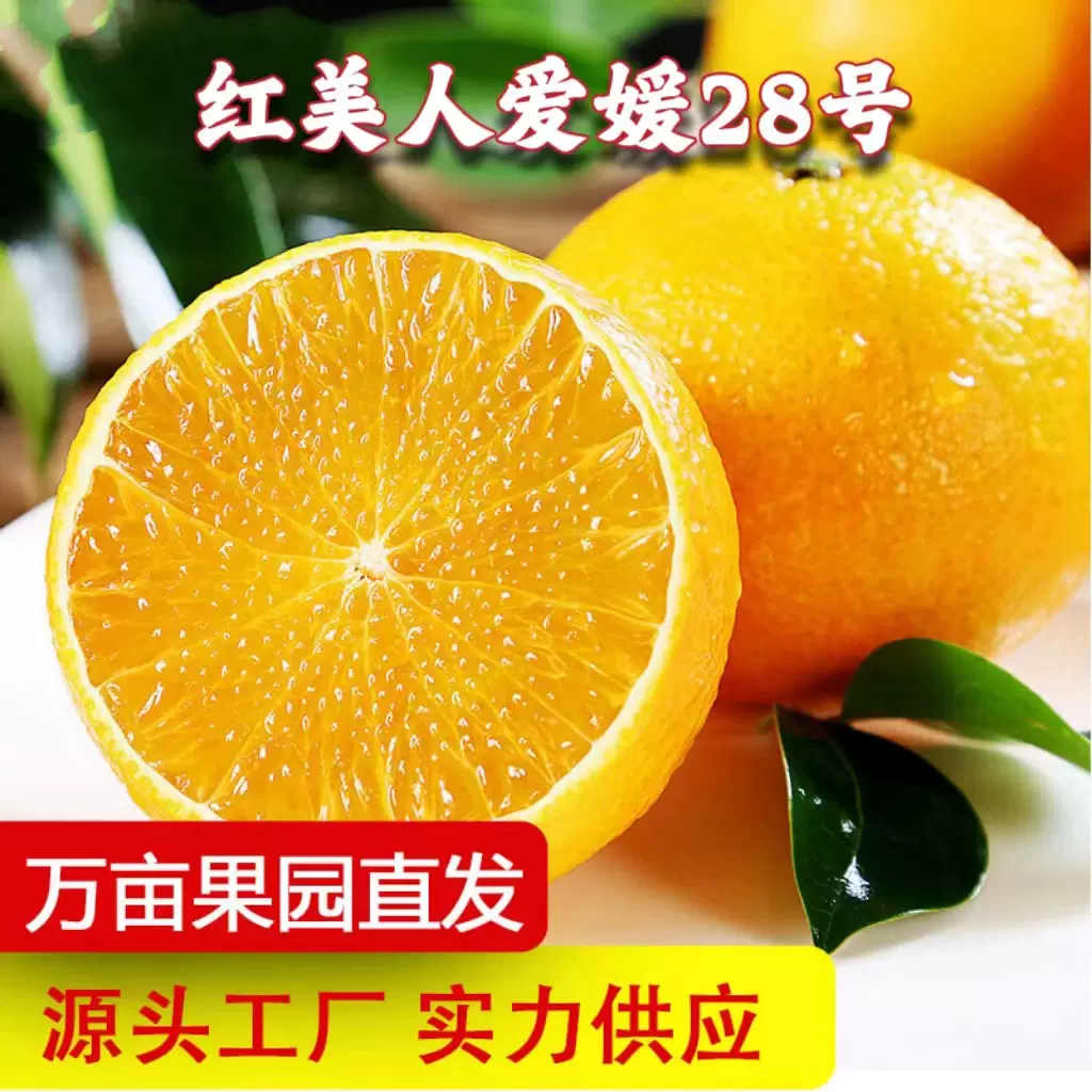 红美人柑橘新鲜桔子爱媛28号果冻橙非爱媛38号礼盒孕妇新鲜水果