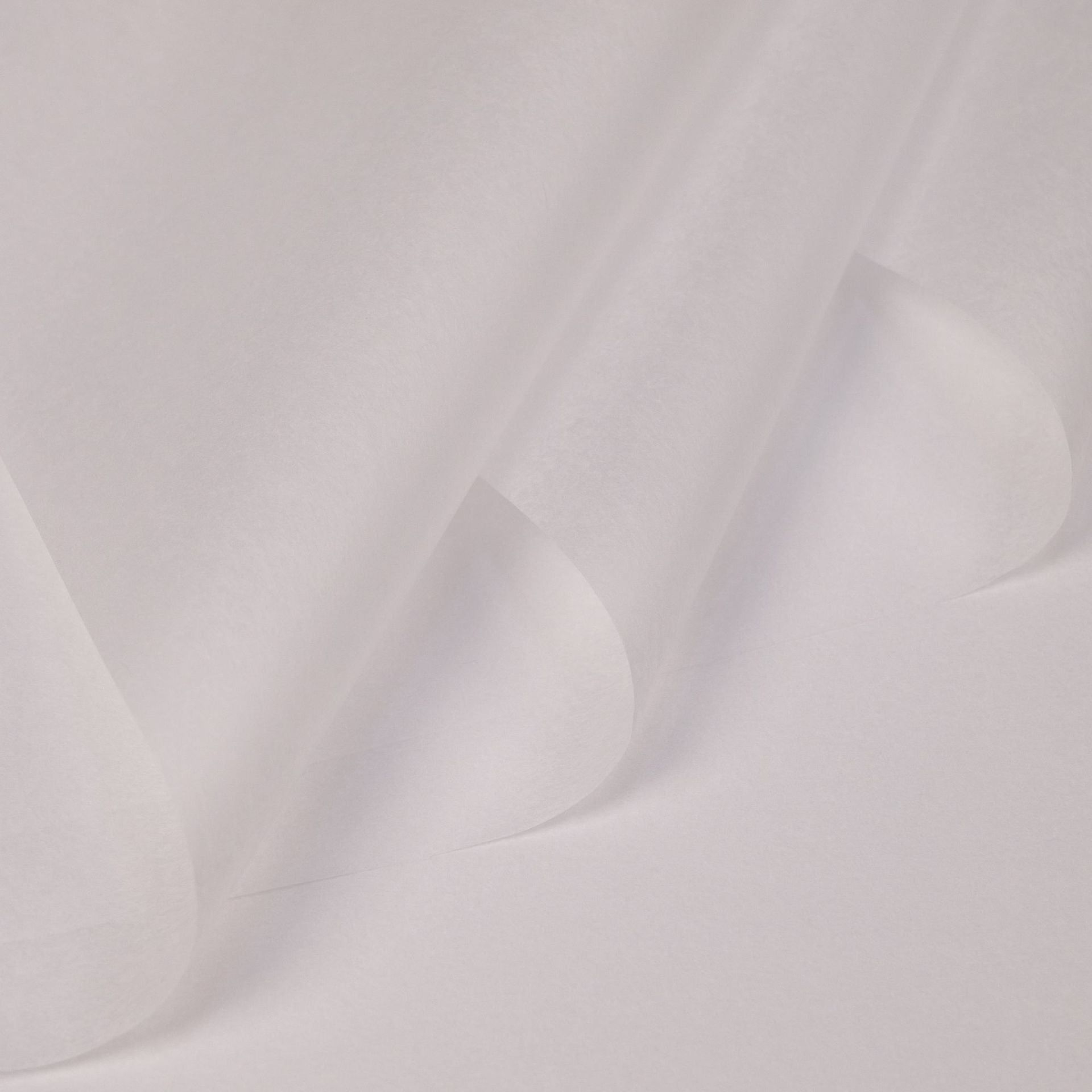 단색 흰색 36 사진