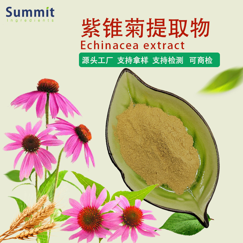 工厂现货紫锥菊提取物水溶性可商检量大从优可拿样紫锥菊提取物