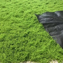 ����װl�\�z��̦�\��ƺ������ë�\����̦���^���ò�ƺ�辰�����