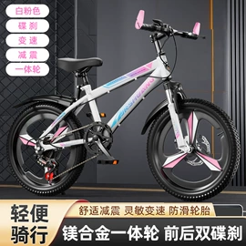 山地自行车;自行车;折叠自行车