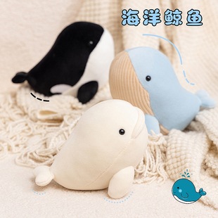 �羳��ͨ�����L�~���з��滢�L���L��ż���^�LС̖ץ�C�����޶Y��