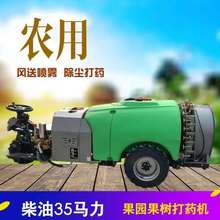 小型柴油动力葡萄园打药机 家用葫芦园喷药车 自走式高压喷雾机