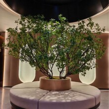 �R��ľ�Gֲ�쾰����ֲ���҃����Ř��b���ͼ٘了�s���^