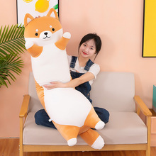 �L�l��Ȯ���큆�R�d�A�����^��̖��˯����ë�q��߲��������l��ͨ