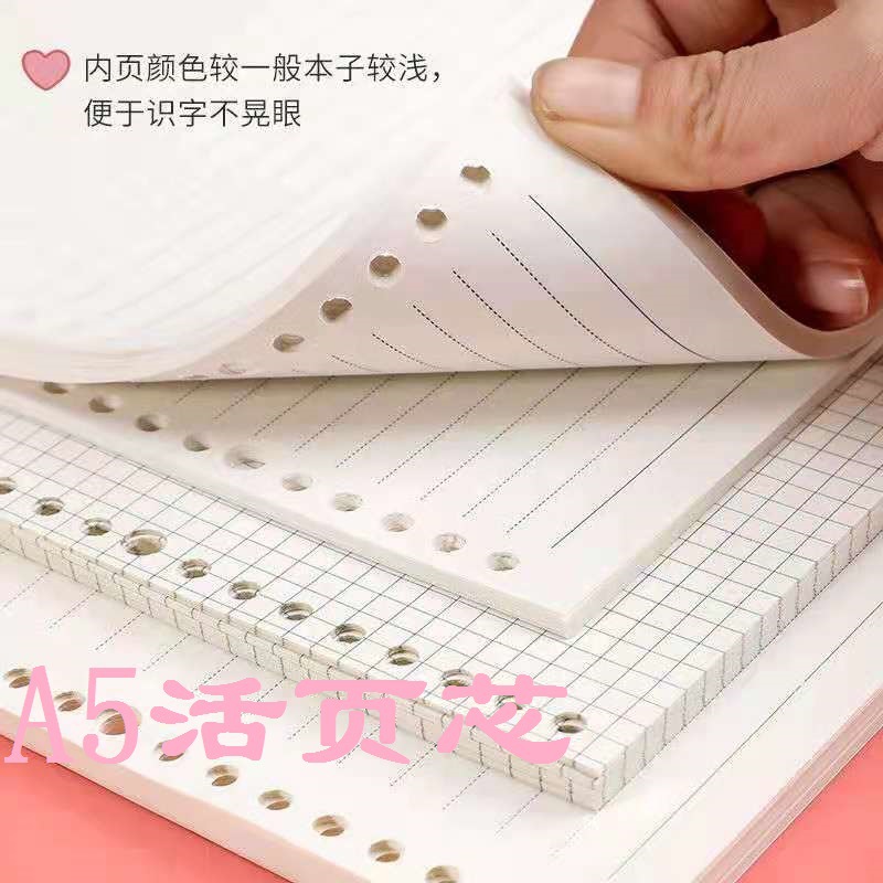 B5 Loose-Leaf Notebook with Removable Grid and Lined Refills, 16k, 26-Hole Spiral Binding — Perfect for Bullet Journals and Notebooks