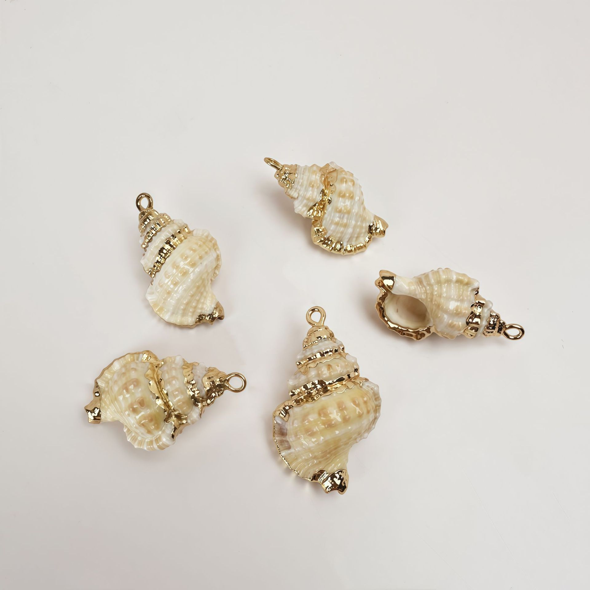 58 희귀 천연 핑크 쉘 악어 달팽이 (저희 매장 고유)