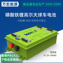 51.2V 100Ah磷酸铁锂高尔夫球车动力电池新能源电动车LiFePO4电池