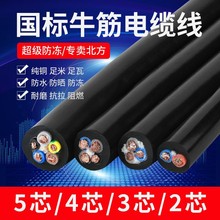 RVV国标纯铜芯电线户外护套线2芯3芯1.5 2.5 4 6平方家用软电缆线