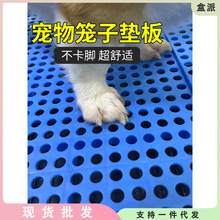 猫狗垫子塑料垫板狗笼子脚垫板散热板网格垫拼接漏粪兔笼宠物防潮