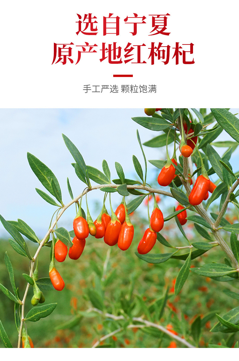 Premium Ningxia Goji Berry Gift Box Unsulfured Grade A Zhongning Wolfberry Ready to Eat preparation