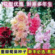 ���˻��ذ�������N���ͺ����������ֺ÷N��һ�ɼt�����ɫ����