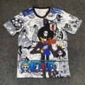 Japan 23