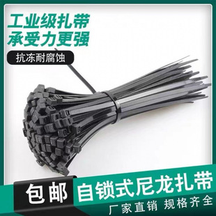 Wholesale and retail self-locking nylon cable ties plastic fixed binding easy-to-pull belt cable tie black and white