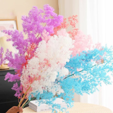 蓬莱松干花永生花家居装饰配饰花艺鲜花手工花束diy材料花店用品