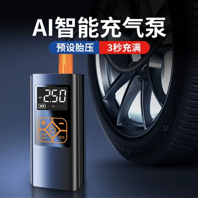 Hava nasosu Car Portable Car Air