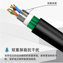 家用 铠装双网线网线屏蔽网络线超五类咬双绞线 防鼠监控室外整箱