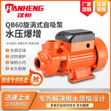 QB60���uʽ���ԁ�ˮ�ܵ��x�ļӉ���110/220V�羳̫�������ˮ��