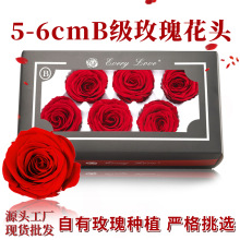 ������õ�廨�^5-6cm6���b�����Y��diy�������l�߼��иɻ����l