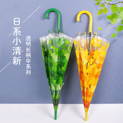 小清新森系学生アポロアーチ型長柄プラスチック透明葉桜傘子供公演卸売
