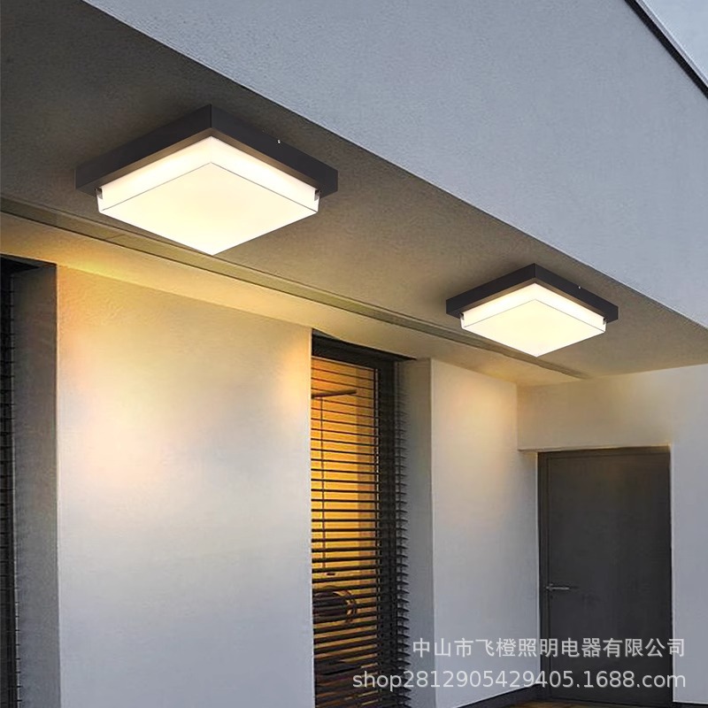 Outdoor Aisle Light Waterproof Bathroom Ceiling Light Corridor Aisle Wall Light Entrance Entrance Light Intelligent Sensor