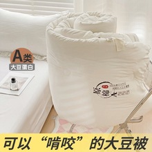 A类母婴级加厚大豆被秋冬被芯大豆纤维被礼品被空调被酒店被批发