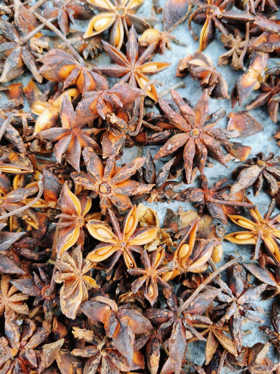 Whole Star Anise Da Hui Xiang Dried Illicium verum Fruit Culinary Spice 500g quality and texture