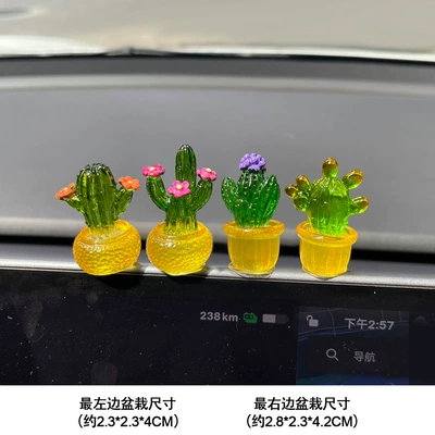 Car ornaments: Cactus Small Animal Ornaments - new-transparent-succulent-group-c